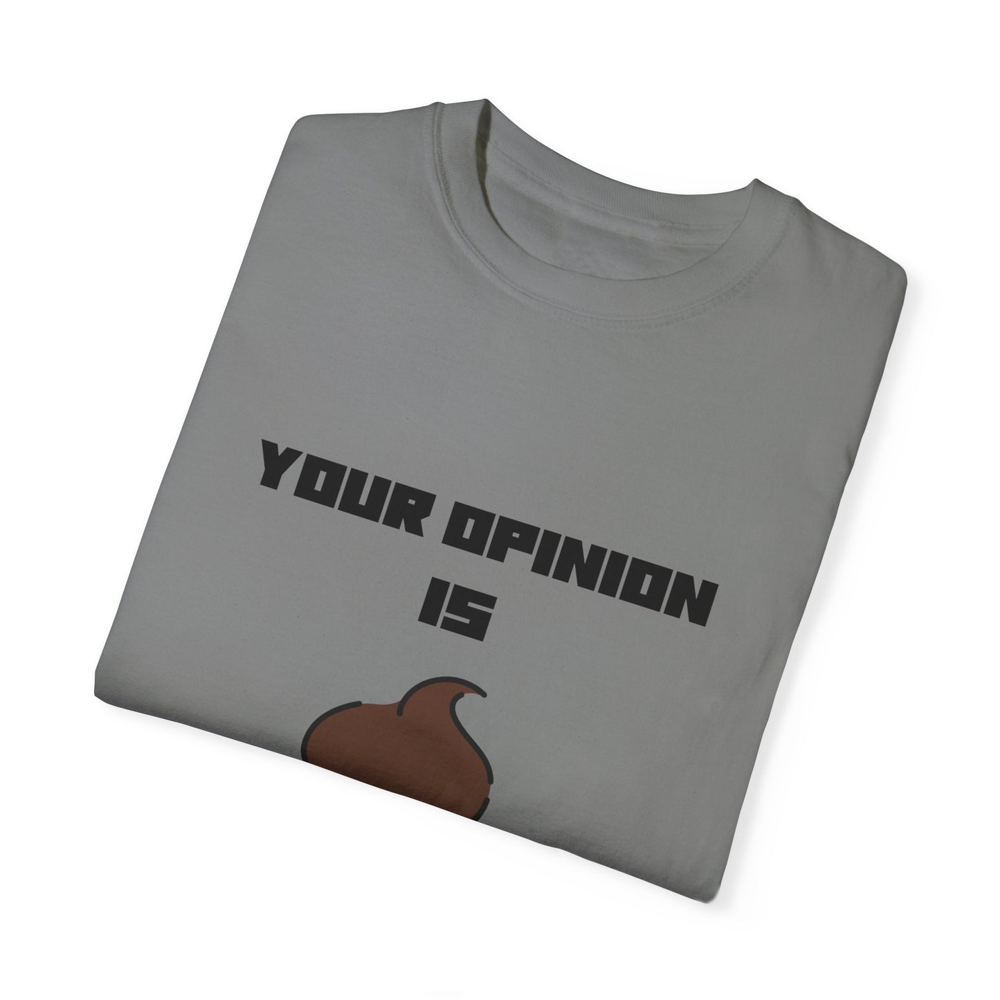 Your Opinion is Shit