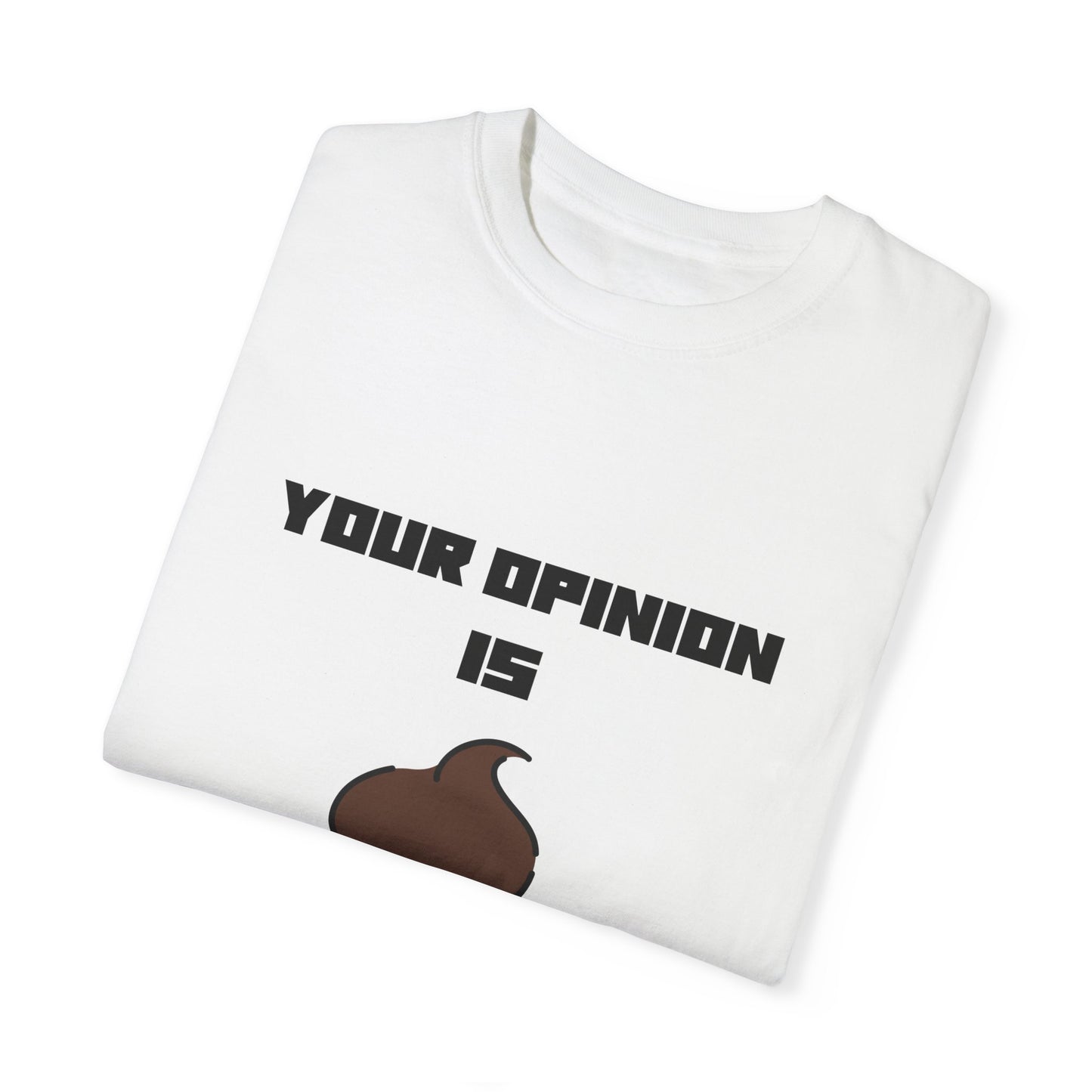 Your Opinion is Shit