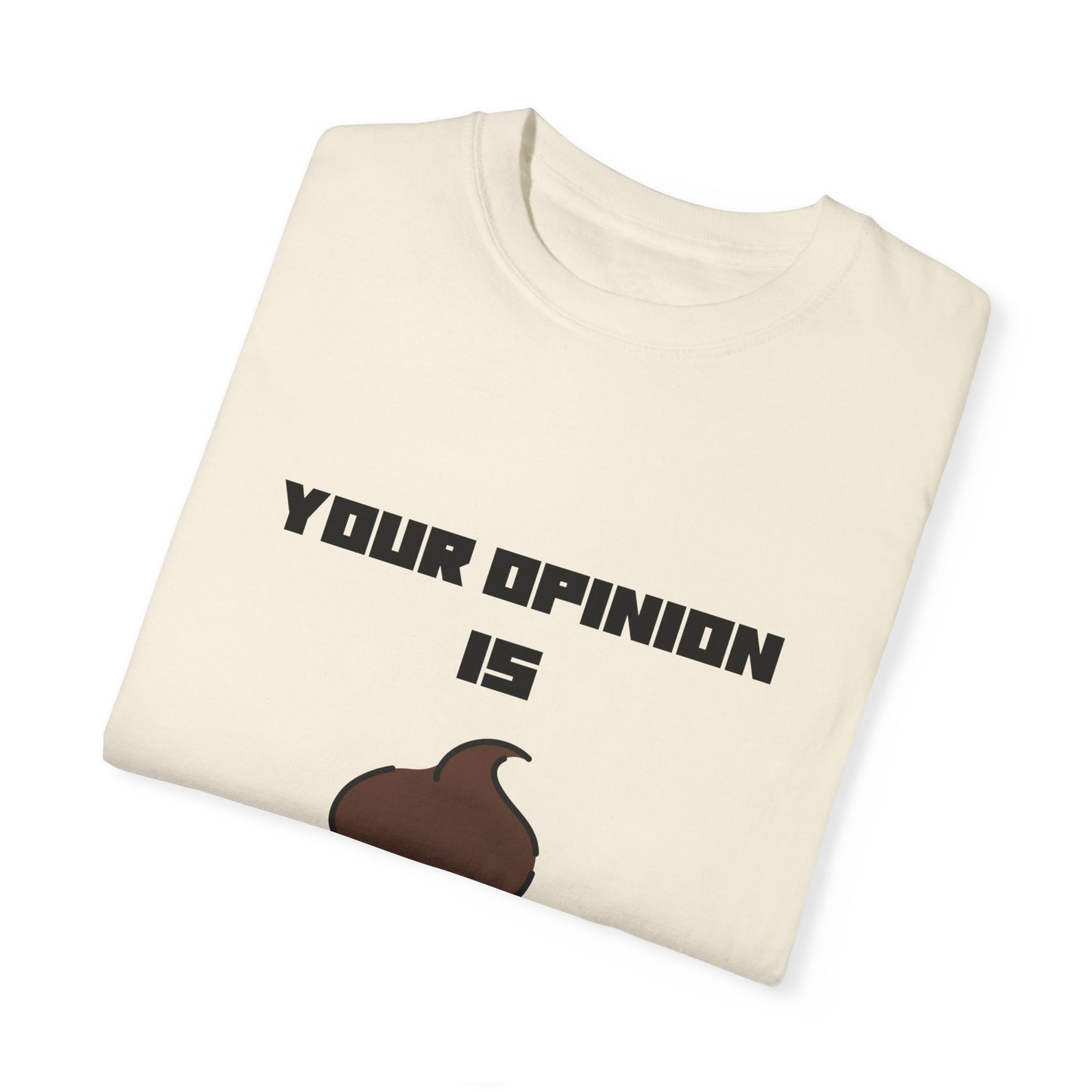 Your Opinion is Shit