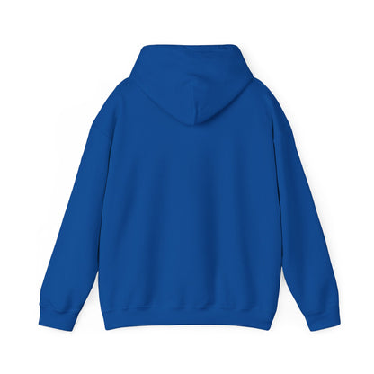 Bring Back Privateering Hoodie