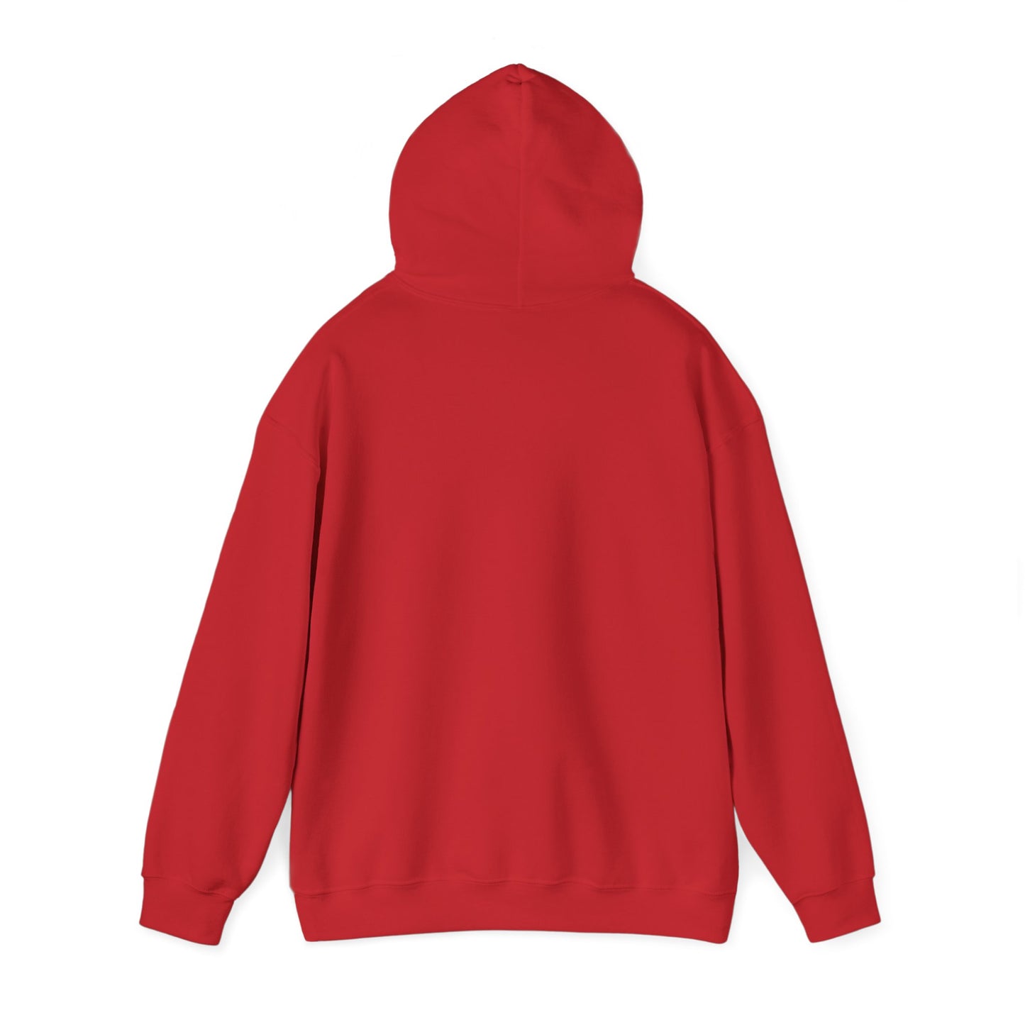 Bring Back Privateering Hoodie