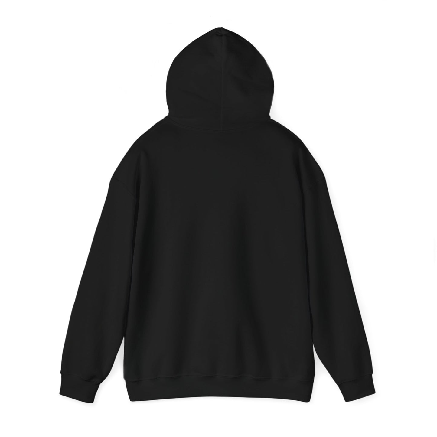 Bring Back Privateering Hoodie