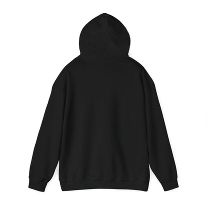 Bring Back Privateering Hoodie
