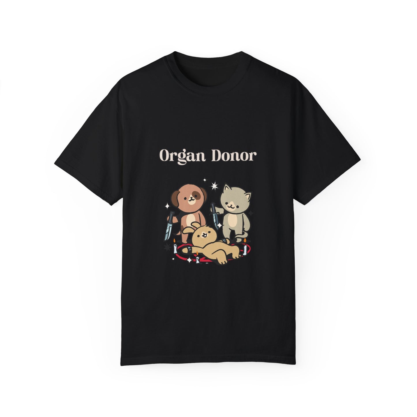Organ Donor