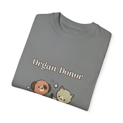 Organ Donor