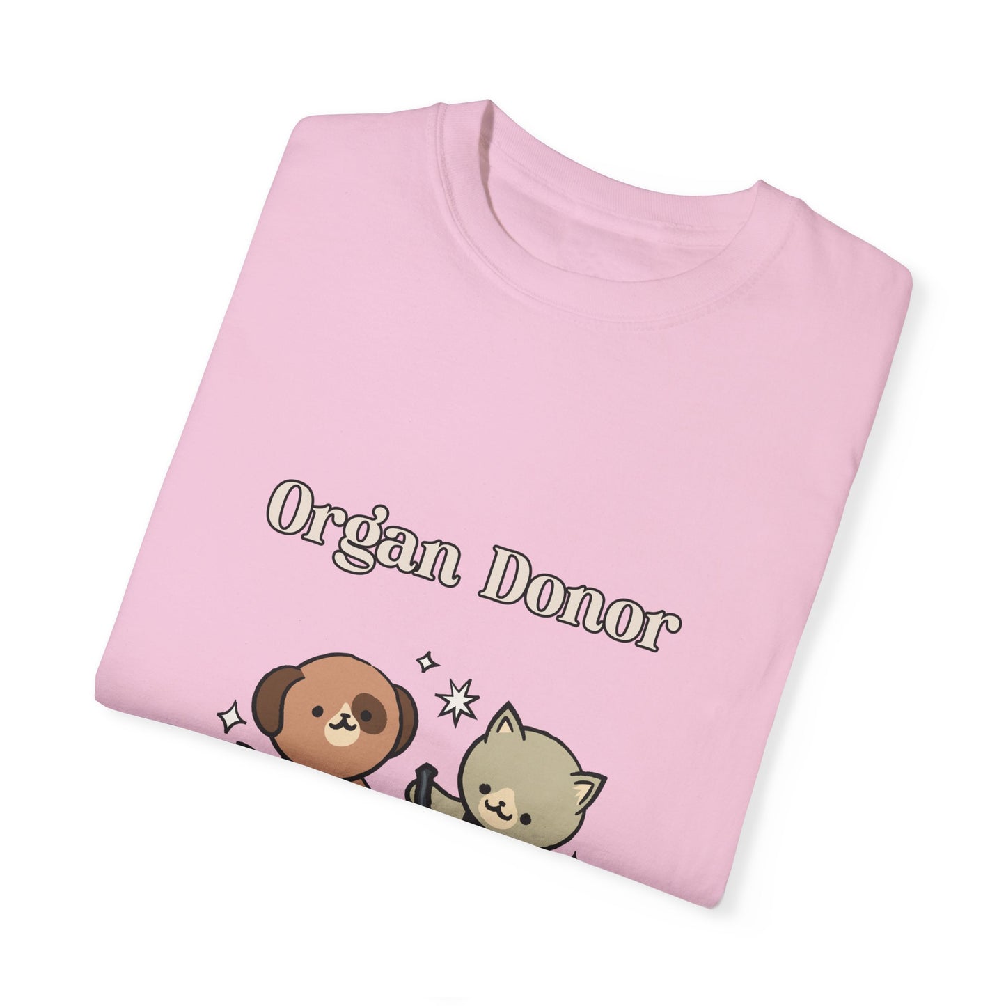 Organ Donor