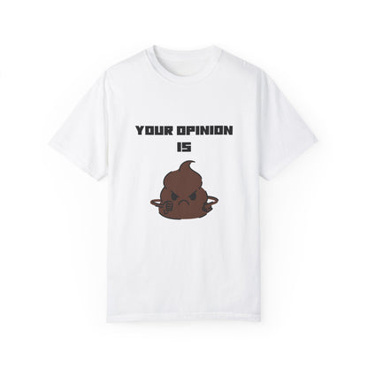 Your Opinion is Shit