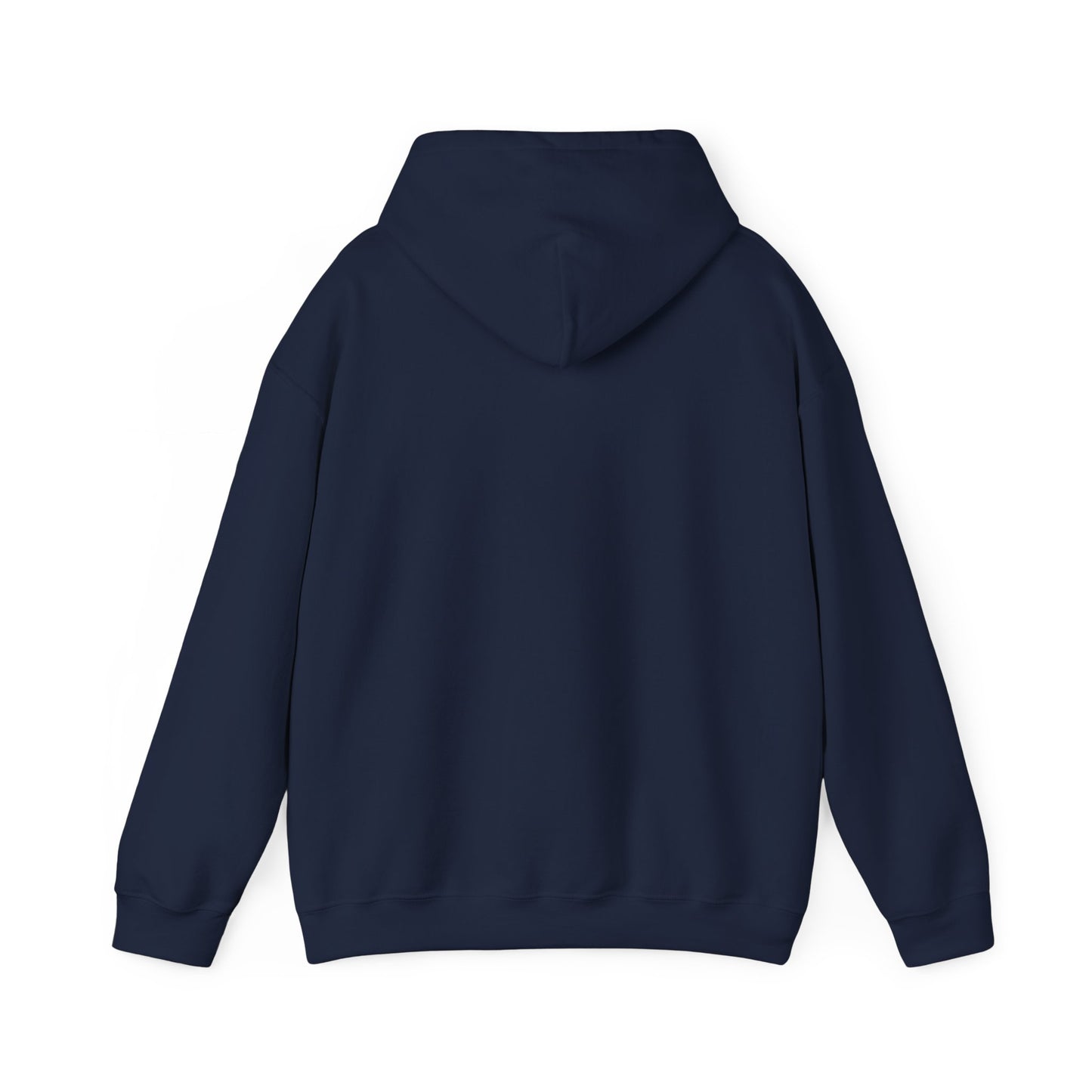 Bring Back Privateering Hoodie