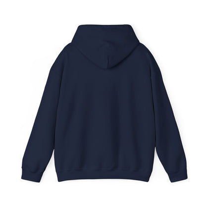 Bring Back Privateering Hoodie