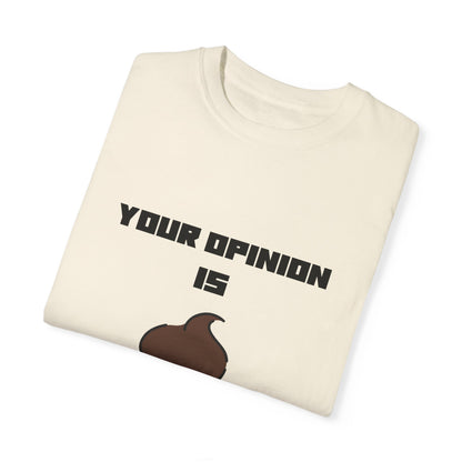 Your Opinion is Shit