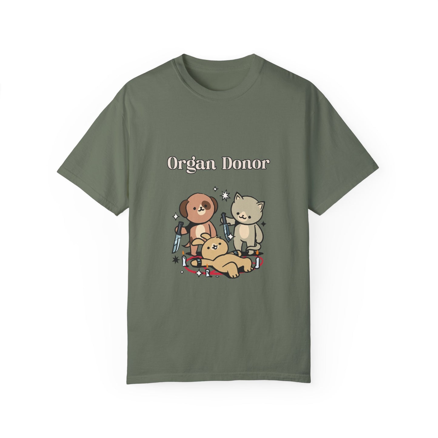 Organ Donor