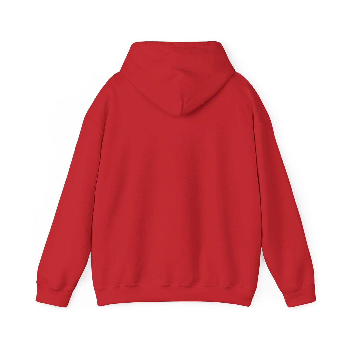 Bring Back Privateering Hoodie