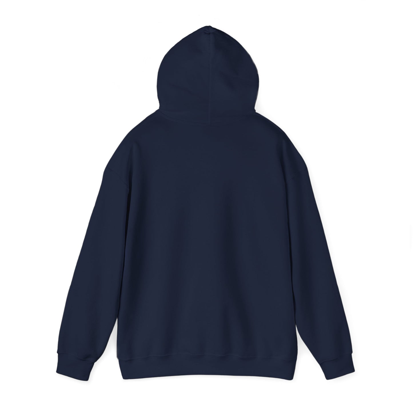 Bring Back Privateering Hoodie