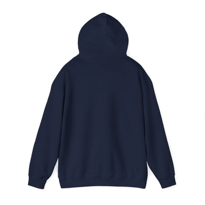 Bring Back Privateering Hoodie