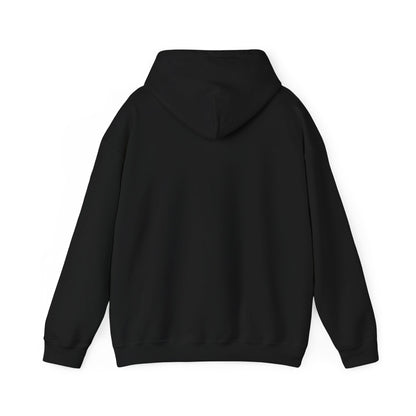 Bring Back Privateering Hoodie