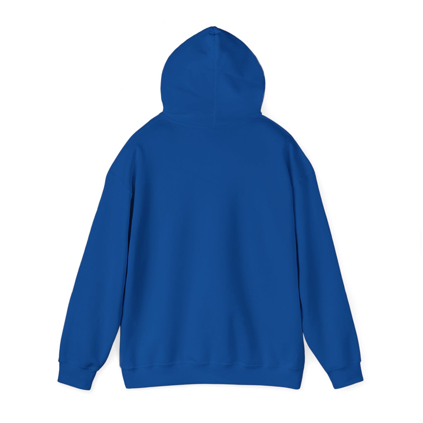 Bring Back Privateering Hoodie
