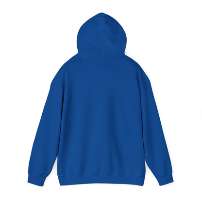 Bring Back Privateering Hoodie